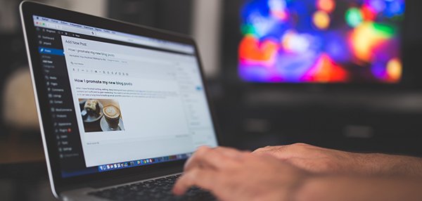 Bold & Italic SEO Writing Intro Image