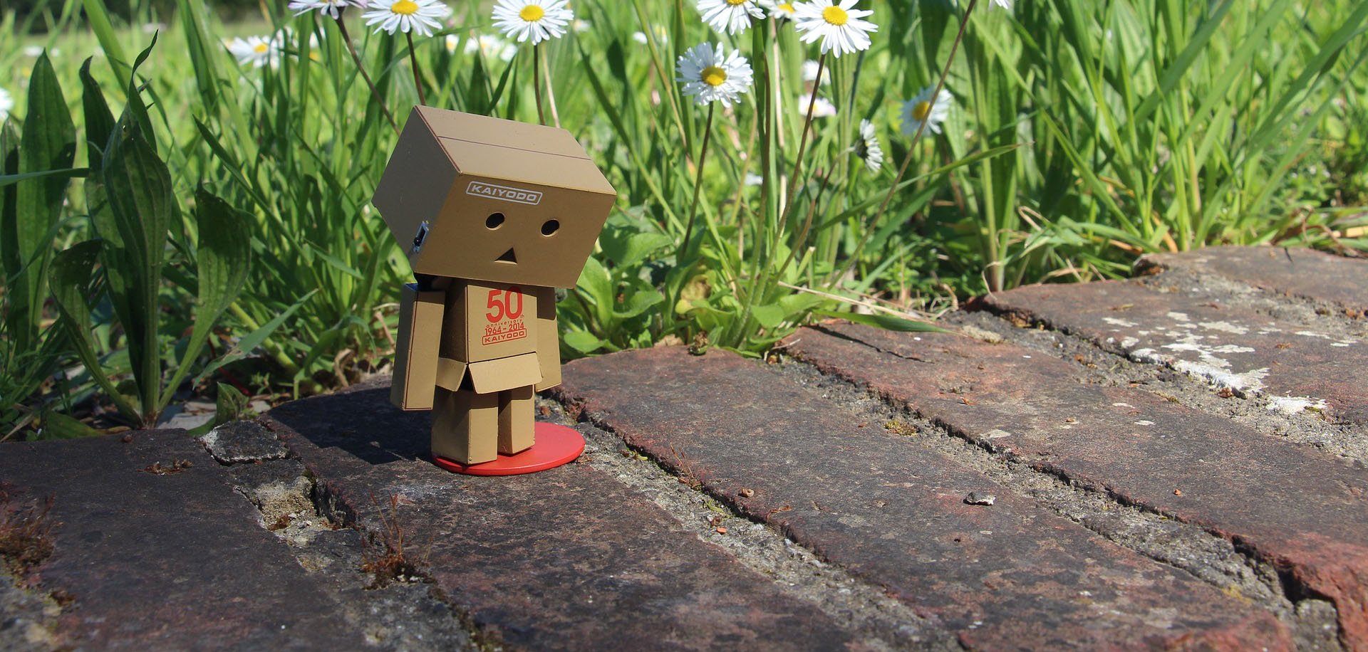 Domain & Page Popularity VS Relevance